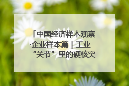 中国经济样本观察·企业样本篇｜工业“关节”里的硬核突围——老企业洛轴创新蝶变启示录